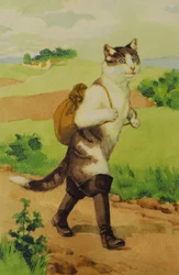 The Boot Cat (Illustration from Conte de Perrault)